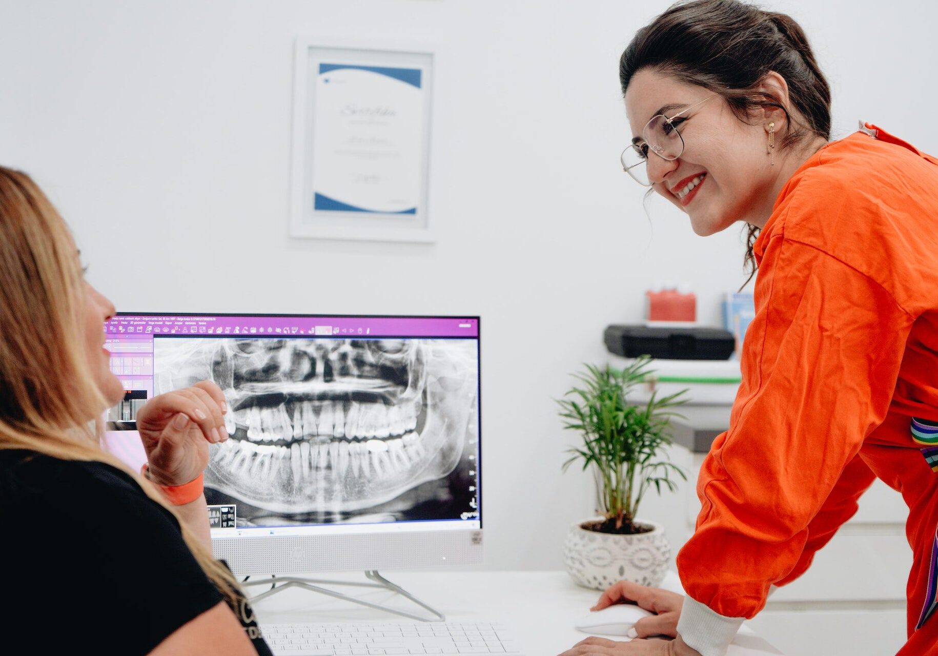 pexels-beyza-kaplan-13264698